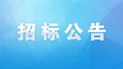湖北数字馆IP授权及运营服务采购项目竞争性磋商公告