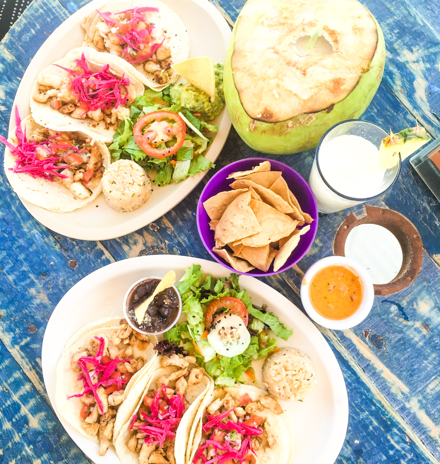 tacos-playa-maya-food